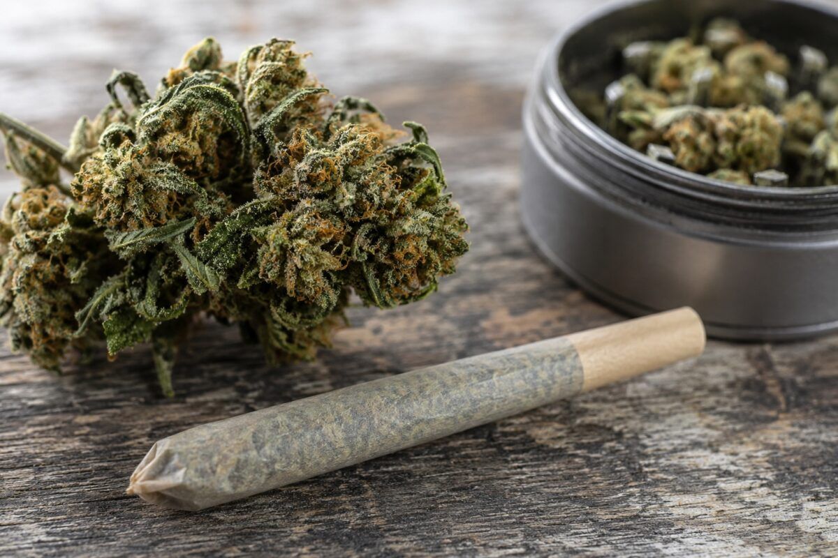 Jak działa thc